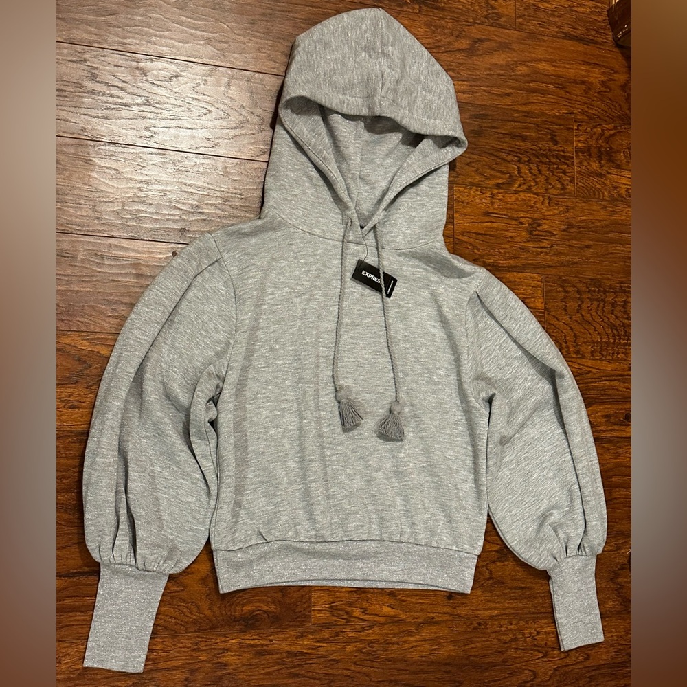 Express Light Gray Hooded Sweater with Shimmer Details, NEW